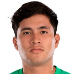 迭戈梅迪纳